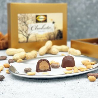 556-13_Choketo-Low-Carb-&-Keto-Pralinés-VOLLMILCH-SAHNE-ERDNUSS-KARAMELL