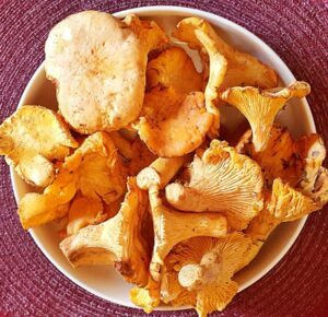 Rezept Pfifferling - Eierschwammerl Taschen lowcarb keto glutenfrei
