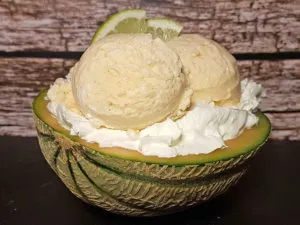 Melonen-Eis Canteloupe zuckermelone low-carb Eiscreme Protein-Eis Proteineis
