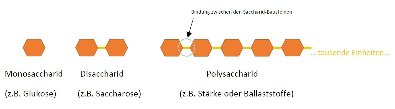 Kohlenhydrate Zucker Ballaststoffe was ist der Unterschied