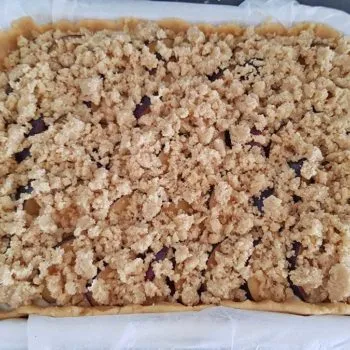 Rezept-Pflaumen-Käsekuchen-low-carb-glutenfrei-sojafrei