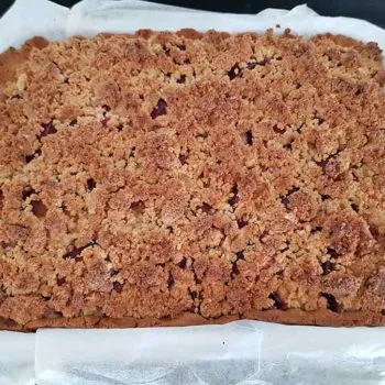 Rezept-Pflaumen-Käsekuchen-low-carb-glutenfrei-sojafrei