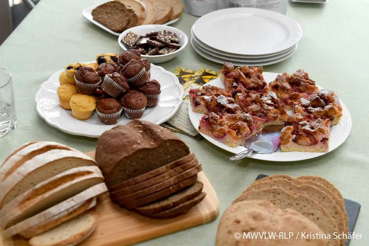 Dr. Almond Förderung Wissing Sommerreise Start Up Neubau