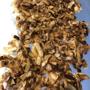 Rezept Kokoskrokant zum Snacken und für Desserts, Schokolade, Eis lowcarb keto