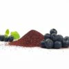 Fruchtpulver WILDE BLAUBEERE Blaubeerpulver gefriergetrocknet 100% Natur