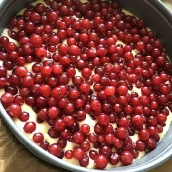 Rezept Johannisbeerkuchen mit Kokos Baiserhaube lowcarb keto kalorienarm