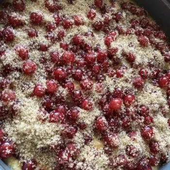 Rezept Johannisbeerkuchen mit Kokos Baiserhaube lowcarb keto kalorienarm