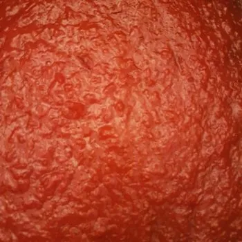 Rezept Ketchup lowcarb zuckerfrei ohne Zucker kalorienarm