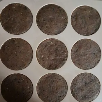 Rezept Spekulatius Kürbiskern Himbeer Cookies lowcarb glutenfrei keto