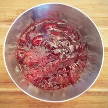 Rezept Buttermilch Quark Pflaumenterrine lowcarb kalorienarm