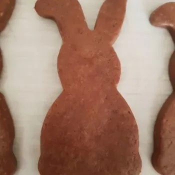 Rezept Schoko Hasen aus Quark Öl Teig lowcarb glutenfrei keto