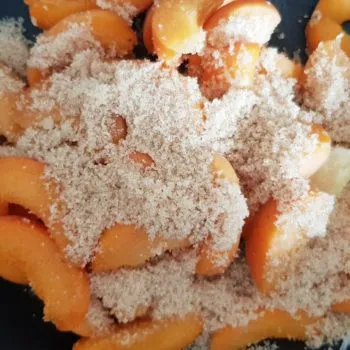 Rezept Marillen Aprikosen Kollagenpudding lowcarb glutenfrei