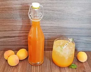 Rezept Karamell Aprikosen Marillen Sirup lowcarb