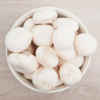 Rezept Champignon Specklaibchen lowcarb glutenfrei