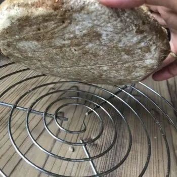 Rezept Galette mit Früchten und Kollagen lowcarb glutenfrei