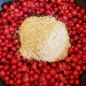 Rezept Johannisbeercreme für Torten, Desserts, Eis, Fluff lowcarb glutenfrei