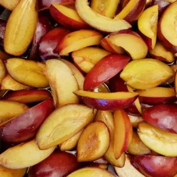 Rezept Zwetschgen-Pflaumen - Nuss Sahnequarkkuchen lowcarb glutenfrei