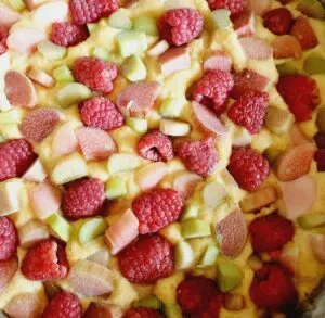 Rezept Himbeer Rhabarber Pudding Kuchen lowcarb glutenfrei keto