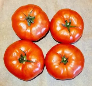 Rezept Gefüllte Backrohr Tomaten mit Tomatenjoghurt lowcarb keto glutenfrei