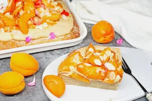 Rezept Karamell Marillen-Aprikosen Schnitte lowcarb keto glutenfrei