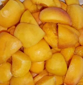 Rezept Mohn Vanille Grießpudding Tarte mit Marillentopping low carb keto glutenfrei