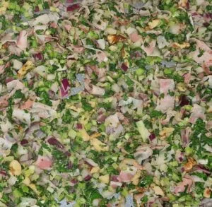 Wirsing Ricotta Quiche mit Speck und Walnüssen low-carb keto glutenfrei