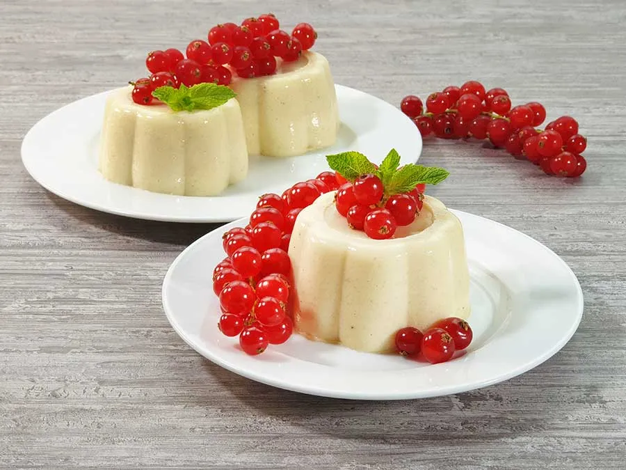 Pudding VANILLE low-carb glutenfrei keto – Puddingpulver ohne Stärke zuckerfrei laktosefrei vegan